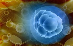 Science：干细胞维持“干”性的秘诀